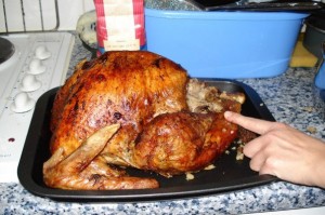 turkey